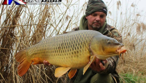 A carp from Brocard Large, Nick Burrage, Mar 2017
