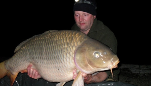 A carp from Brocard Large, Swim 10, Oct 2015