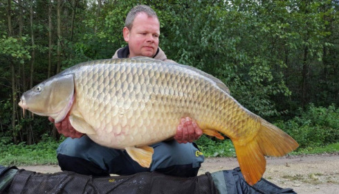 A 50 lb 6 oz carp from Brocard Large, Swim 5, Oct 2016