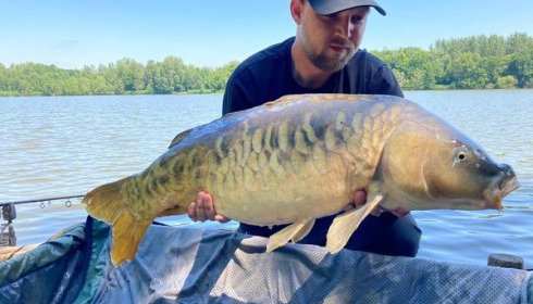 A carp from Brocard Large, Jun 2022