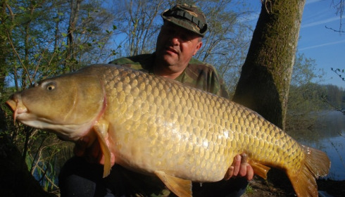 A 49 lb 5 oz carp from Brocard Large, Swim 10, Apr 2015