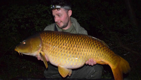 A carp from Brocard Large, May 2018