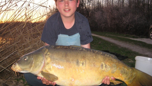 A carp from Brocard Large, Swim 11, Apr 2015