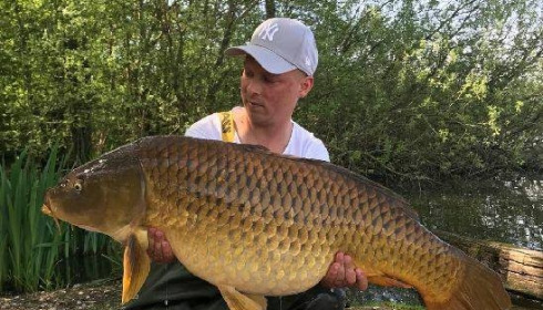 A carp from Brocard Large, Apr 2018