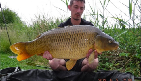 A carp from Brocard Large, Jul 2019
