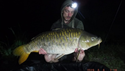A carp from Brocard Large, Jun 2019