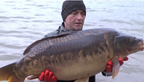 A carp from Brocard Large, January Stocking, Jan 2014