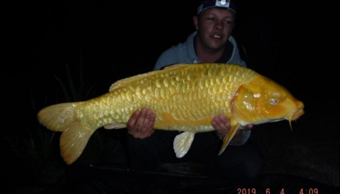 A carp from Brocard Large, Jun 2019