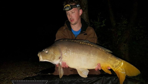 A carp from Brocard Large, May 2018