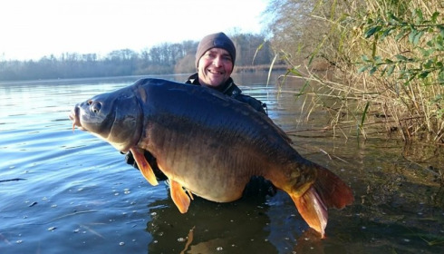 A carp from Brocard Large, 2014 Netting / Stock Check, Dec 2014