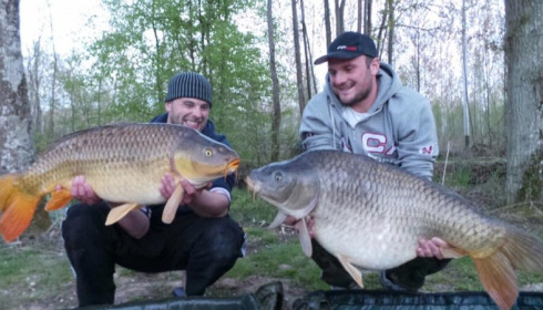 A carp from Brocard Large, Apr 2016