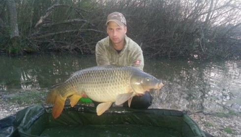 A carp from Brocard Large, Swim 9, Apr 2014