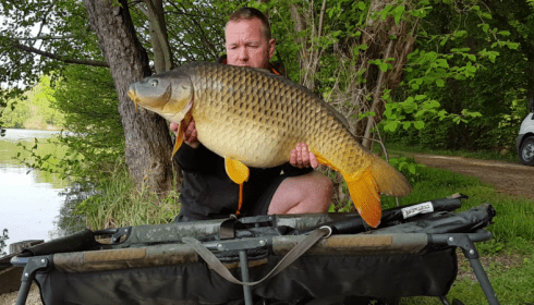 A carp from Brocard Large, May 2018