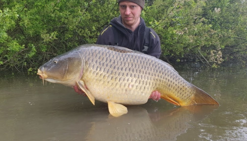 A carp from Brocard Large, May 2021
