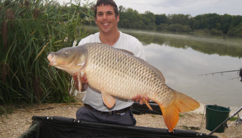 A carp from Brocard Large, Swim 6, Sep 2015