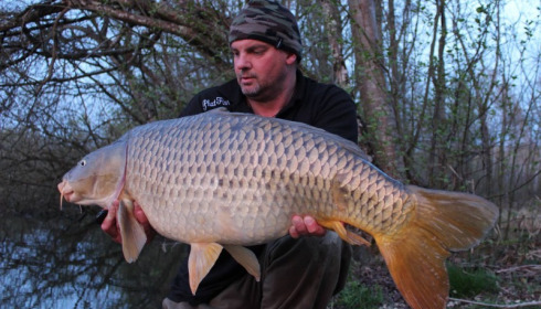 A carp from Brocard Large, Nick Burrage, Apr 2016