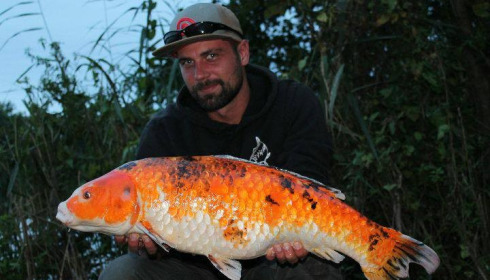 A carp from Brocard Large, Swim 5, Oct 2017