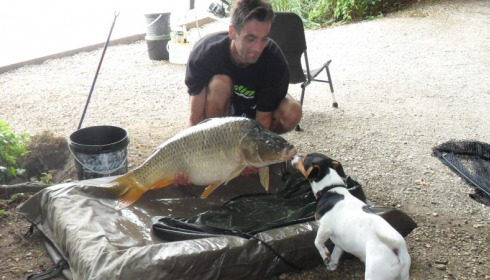 A carp from Brocard Large, Swim 11 , Aug 2015