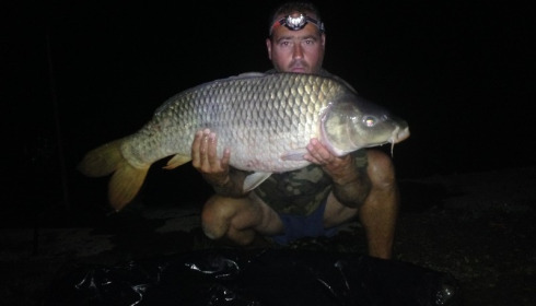 A carp from Brocard Large, Swim 6, Aug 2014