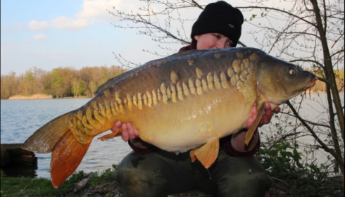 A carp from Brocard Large, Apr 2019