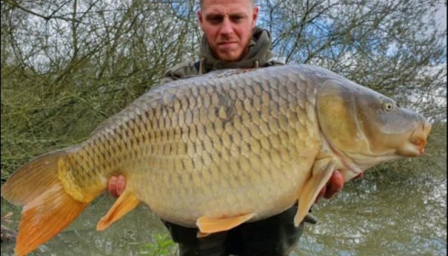 A carp from Brocard Large, Apr 2019