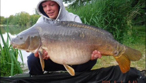 A carp from Brocard Large, Jul 2019