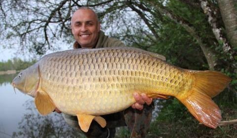 A carp from Brocard Large, Swim 7, Apr 2014