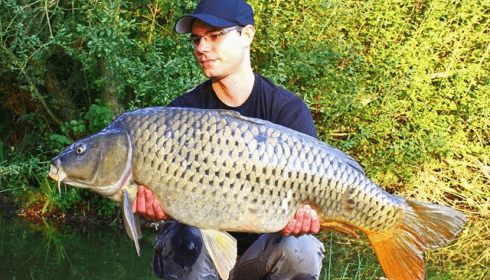 A carp from Brocard Large, Markus Haberleitner, Swim 9, Sep 2014