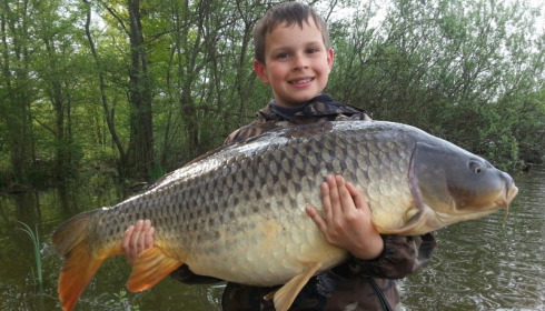A carp from Brocard Large, Jun 2013