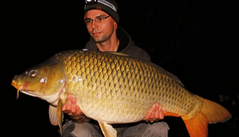 A carp from Brocard Large, Markus Haberleitner, Swim 9, Sep 2014