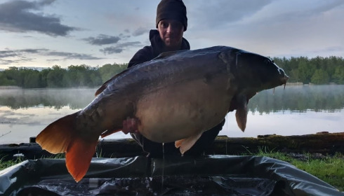 A carp from Brocard Large, May 2021