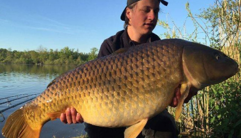 A carp from Brocard Large, Swim 5, May 2016