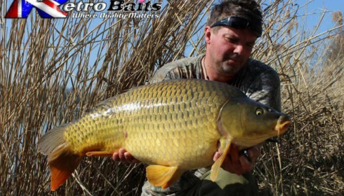A carp from Brocard Large, Nick Burrage, Mar 2017