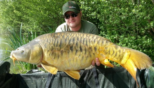 A carp from Brocard Large, Swim 12, May 2015