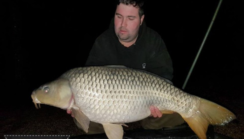 A carp from Brocard Large, May 2018