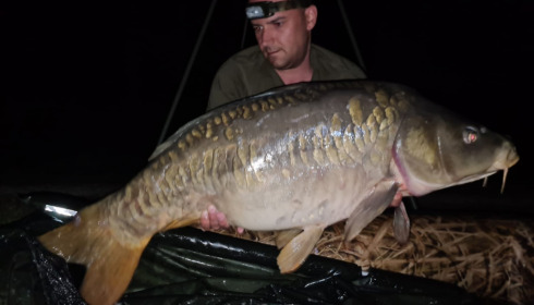 A carp from Brocard Large, May 2022