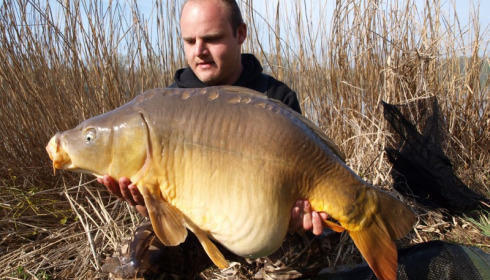 A carp from Brocard Large, Mar 2013