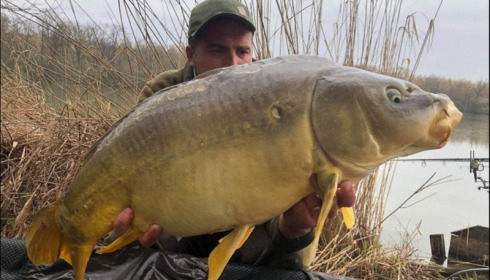 A carp from Brocard Large, Apr 2019