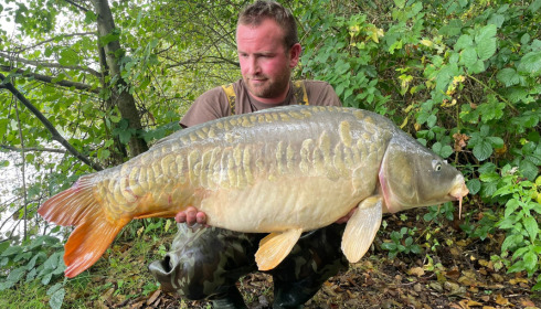 A carp from Brocard Large, Sep 2021