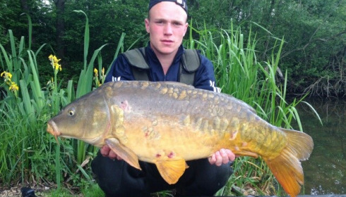 A carp from Brocard Large, Swim 10, Jun 2015
