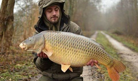 A carp from Brocard Large, Swim 5, Feb 2017