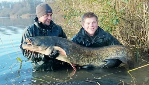 A carp from Brocard Large, Dec 2014