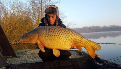 A carp from Brocard Large, Swim 9, Mar 2016