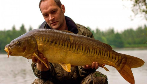 A carp from Brocard Large, Swim 9, Jun 2015