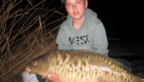 A carp from Brocard Large, Swim 11, Apr 2015
