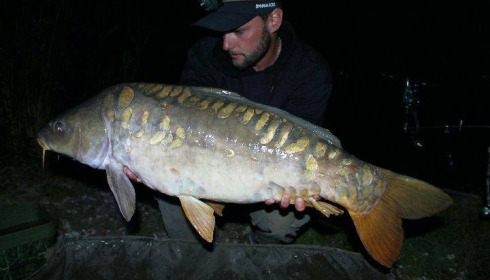 A carp from Brocard Large, Jun 2017