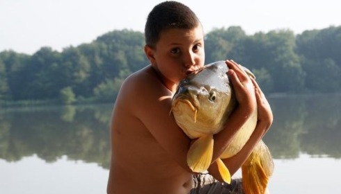 A carp from Brocard Large, Swim 10, Aug 2013