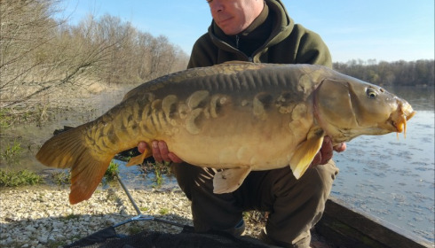 A carp from Brocard Large, Mar 2019