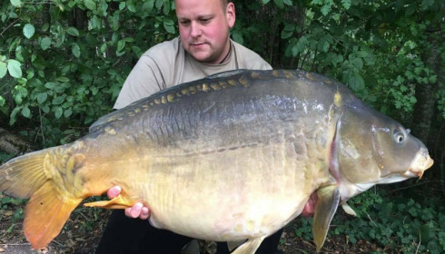A carp from Brocard Large, Swim 8, Sep 2017
