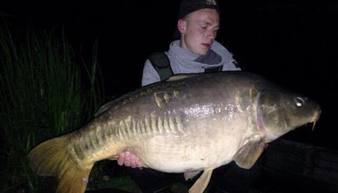 A carp from Brocard Large, Swim 10, Jun 2015